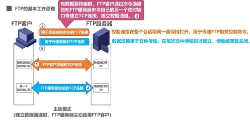 計算機(jī)網(wǎng)絡(luò)應(yīng)用層 域名系統(tǒng)DNS、文件傳送協(xié)議FTP與計算機(jī)系統(tǒng)服務(wù)